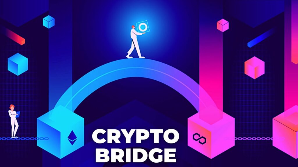 Apecoin Bridging Conservation And Cryptocurrency 